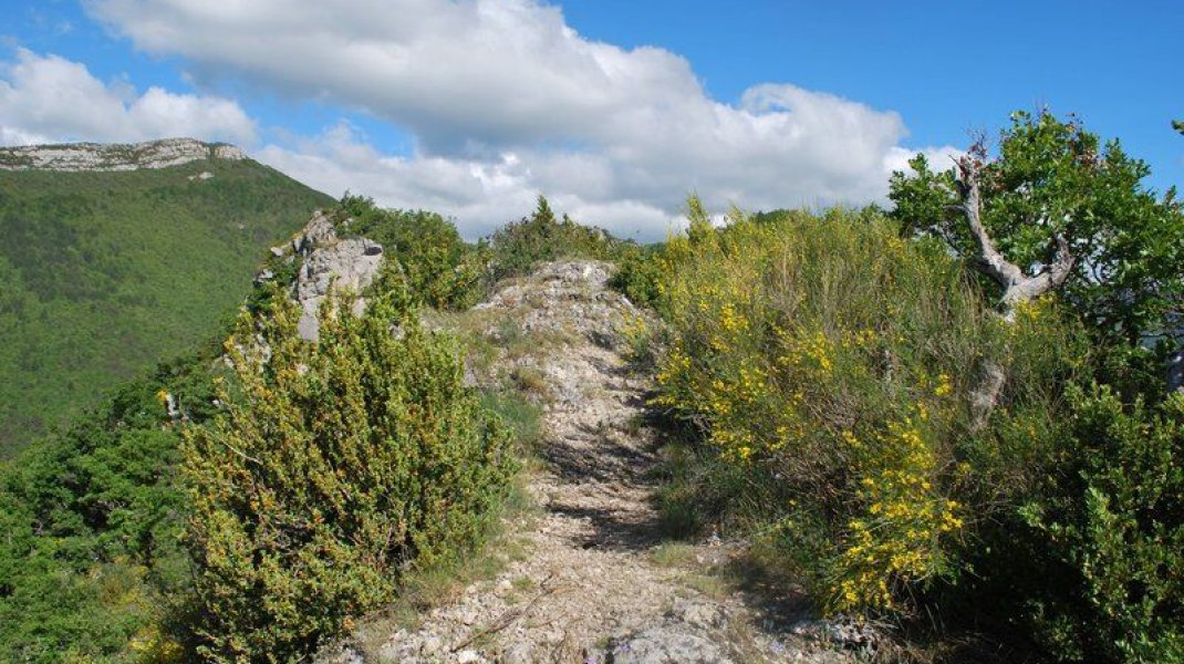 La Crête de Fontarache - La Crête de Fontarache et son sentier (Copyright : Communauté de Communes Sisteronais Buëch)