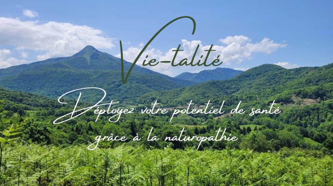 Vie-talite potentiel montagne Pyrennees juin23 - Vie-talite potentiel montagne Pyrennees juin23 (Copyright : Julie Forurnier Jumain)